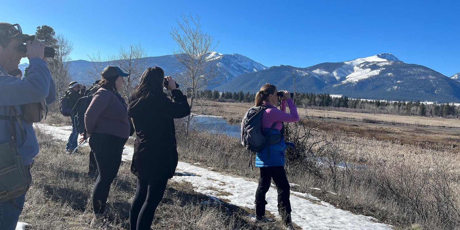 Banner image for Master Naturalist Level II Course - Spring 2025