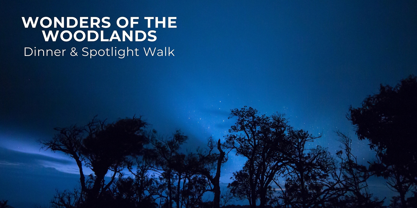 Banner image for Wonders of the Woodlands - Dinner & Spotlight Walk