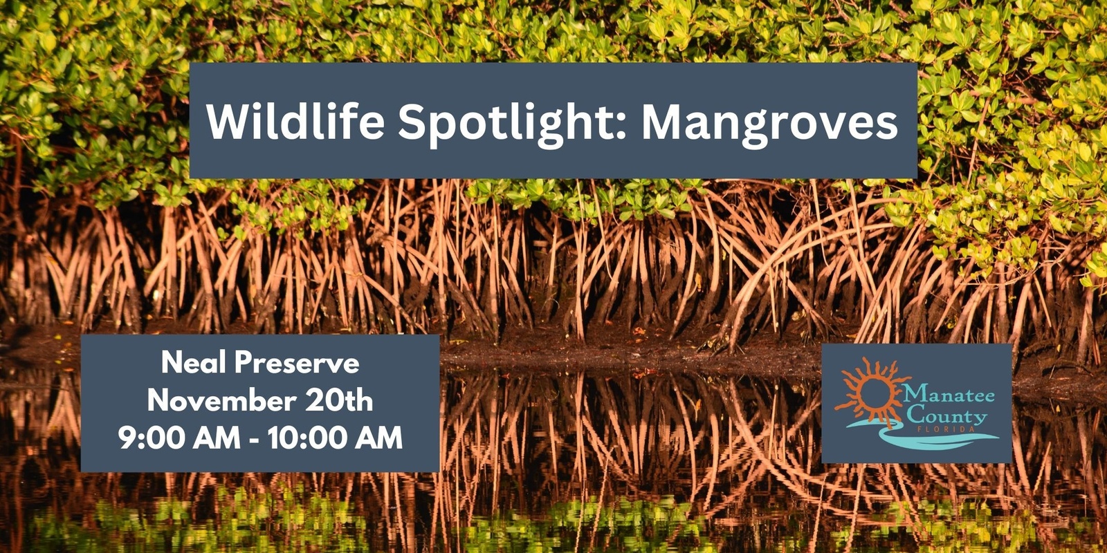 Banner image for Wildlife Spotlight: Mangroves