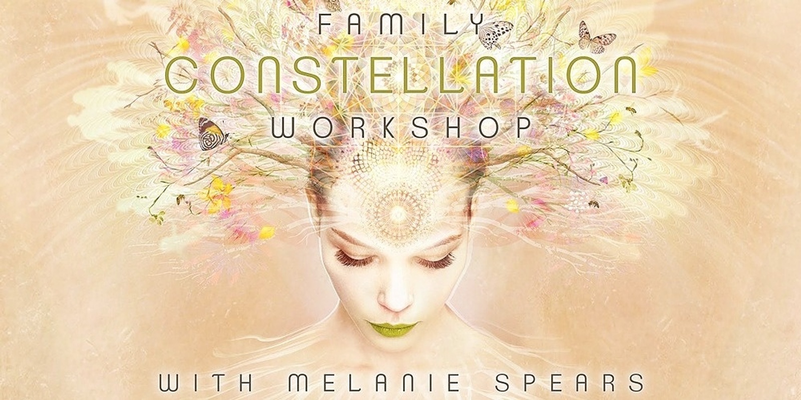 Banner image for Family, Systemic and/or Business Constellation Workshop in Ocean Shores (Byron Bay), NSW on Sunday 19th June 2022