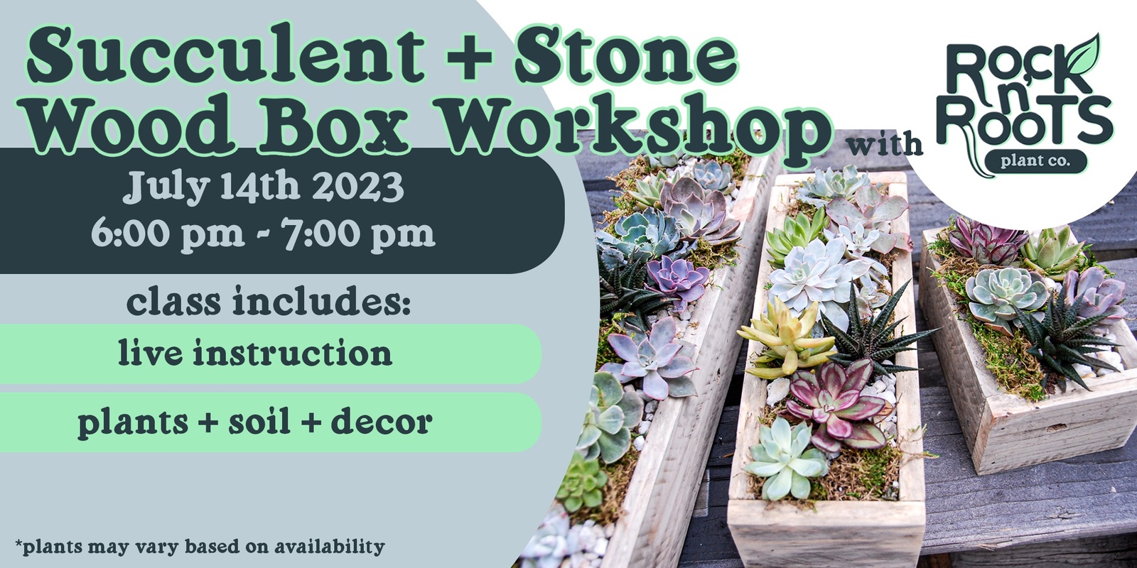 Banner image for Succulent + Stone Wood Box Workshop at Rock n' Roots Plant Co. (Pawleys Island, SC)