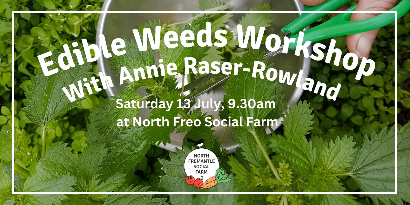 Banner image for Edible Weeds Workshop with Annie Raser-Rowland