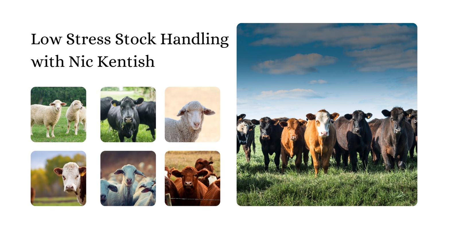 Banner image for Low Stress Stock Handling Course with Nick Kentish