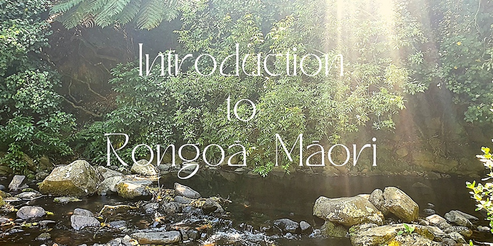 Banner image for Introduction to Rongoā Māori 