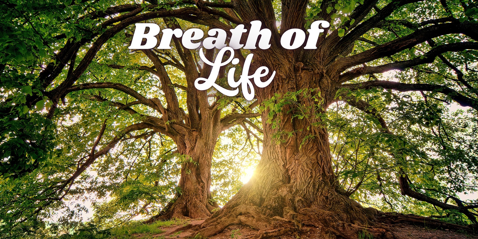 Banner image for Breath of Life May 2024