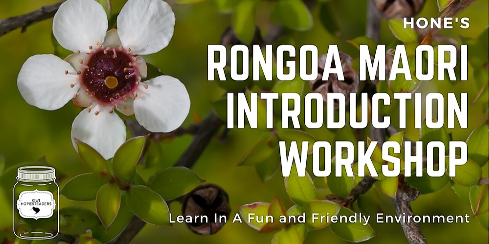 Banner image for Hone's Rongoa Maori Basic Native Plant Identification