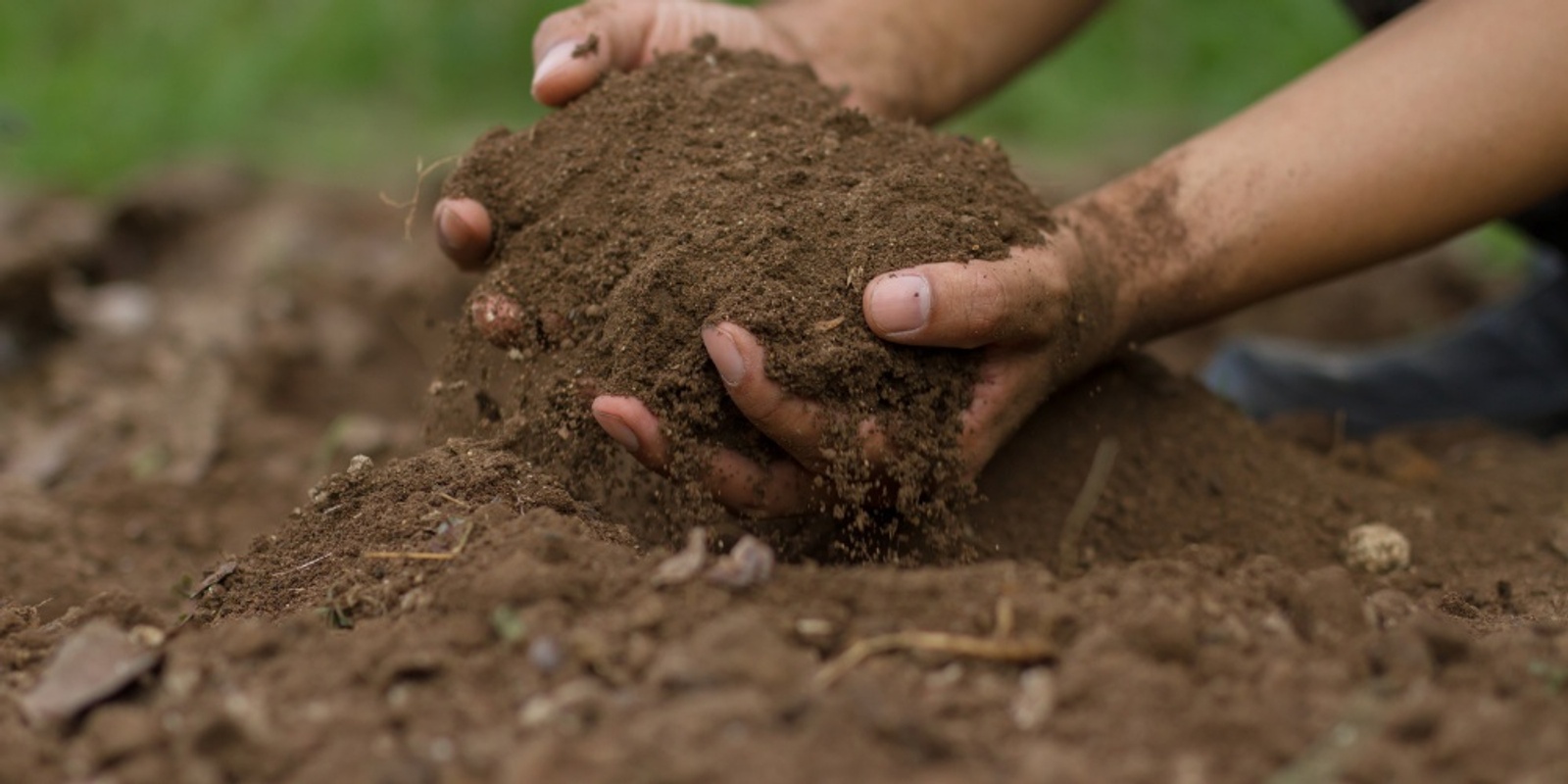 Banner image for Restoring Healthy Soils