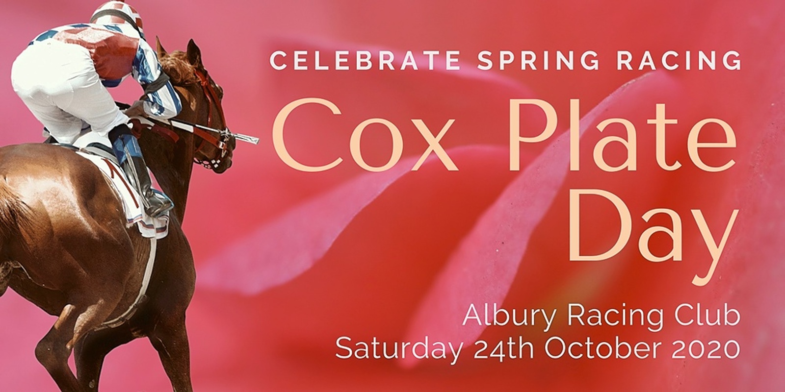 Banner image for Albury Racing Club - Cox Plate Day
