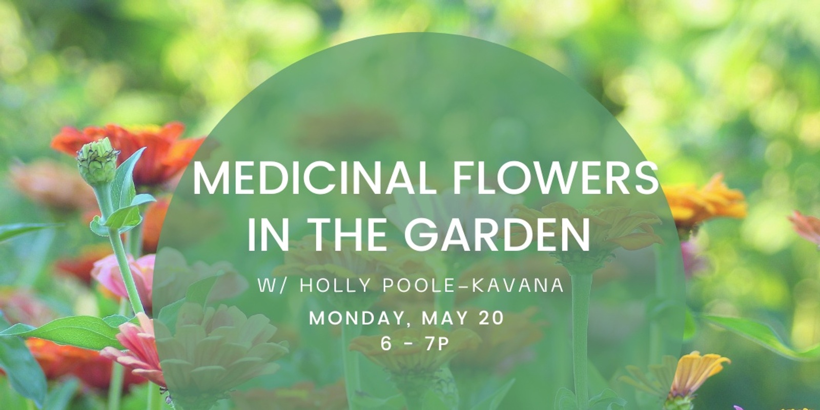 Banner image for Herbalism Workshop: Medicinal Flowers in the Garden w/ Holly Poole-Kavana