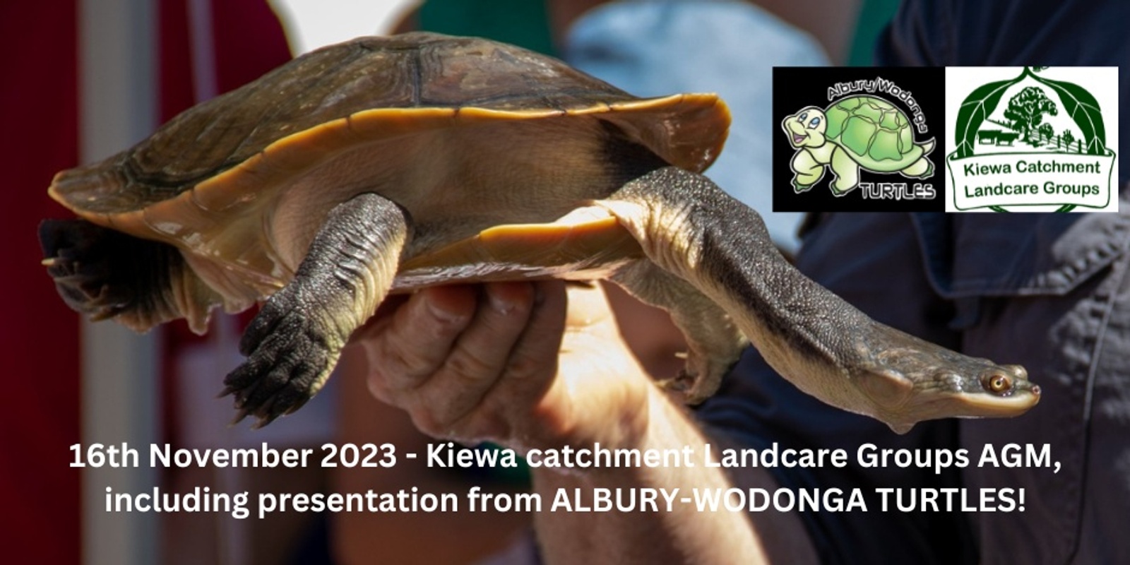 Banner image for KCLG 2023 Annual General Meeting and Presentation from Albury-Wodonga Turtles