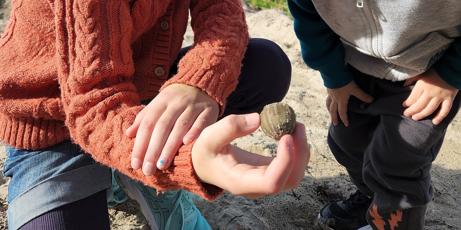 Banner image for Beachcombing Along Victor Harbor Foreshore