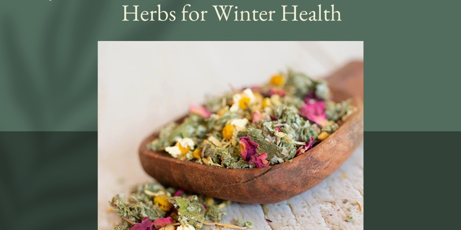 Banner image for Herbalism Workshop: Herbs for Winter Health w/ Holly Poole-Kavana