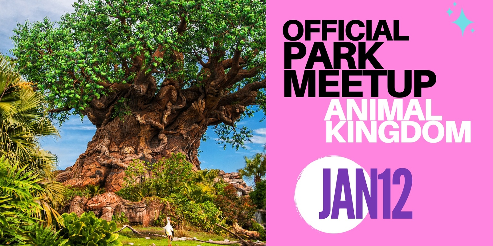 Banner image for Official Park Meetup - Animal Kingdom