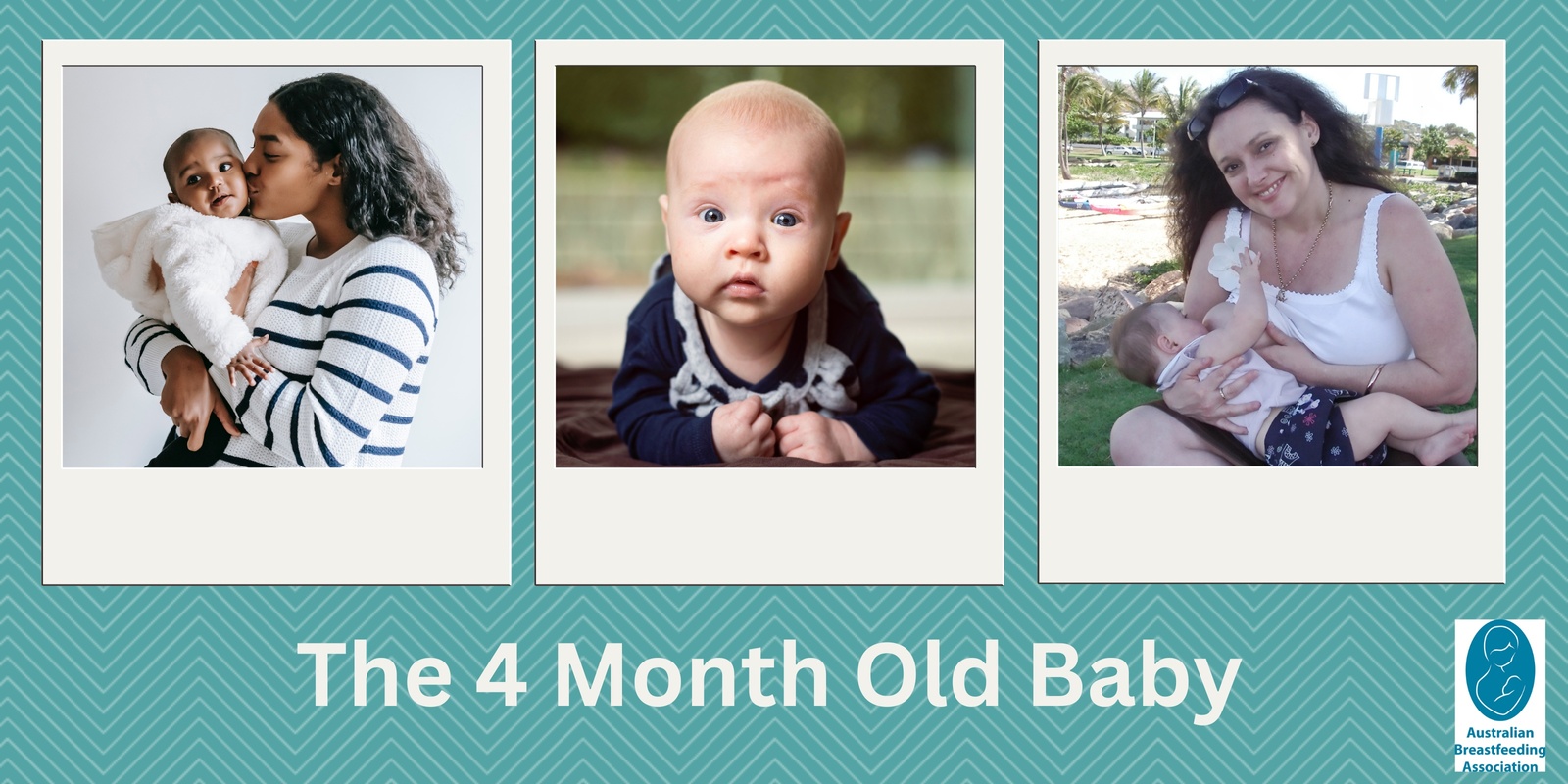 Banner image for The 4 Month Old Baby