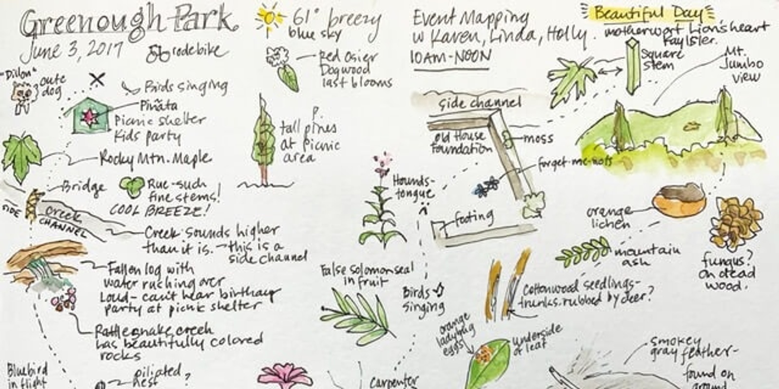 Banner image for Nature Journaling with Nancy Seiler: Event Mapping