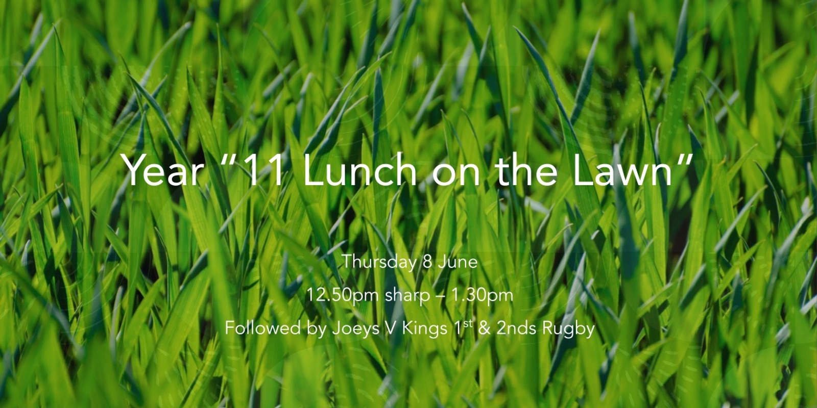 Banner image for Year 11 "Lunch on the Lawn"