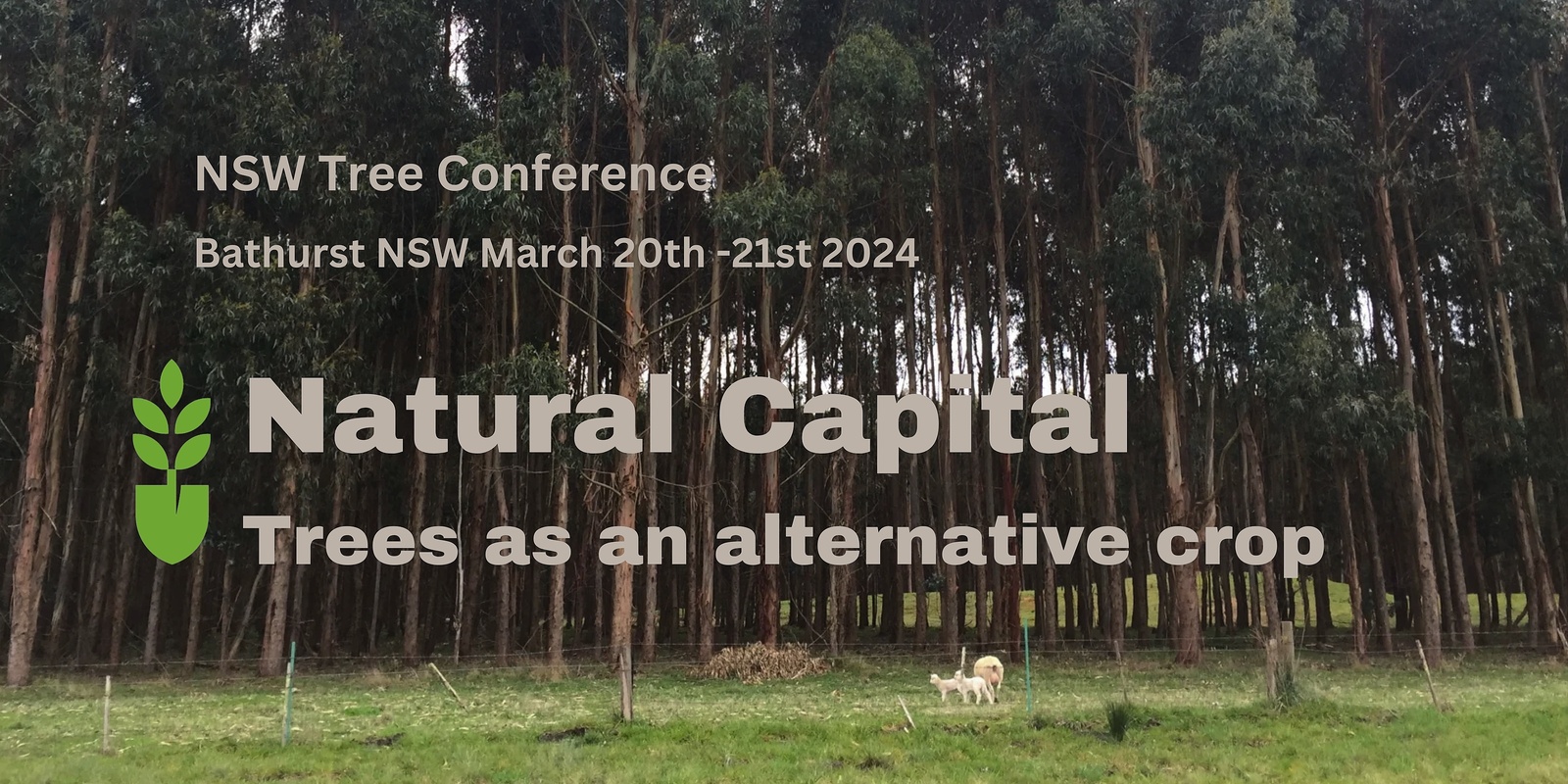Banner image for NSW Tree Conference 2024 - "Natural Capital: Trees as an Alternative Crop"