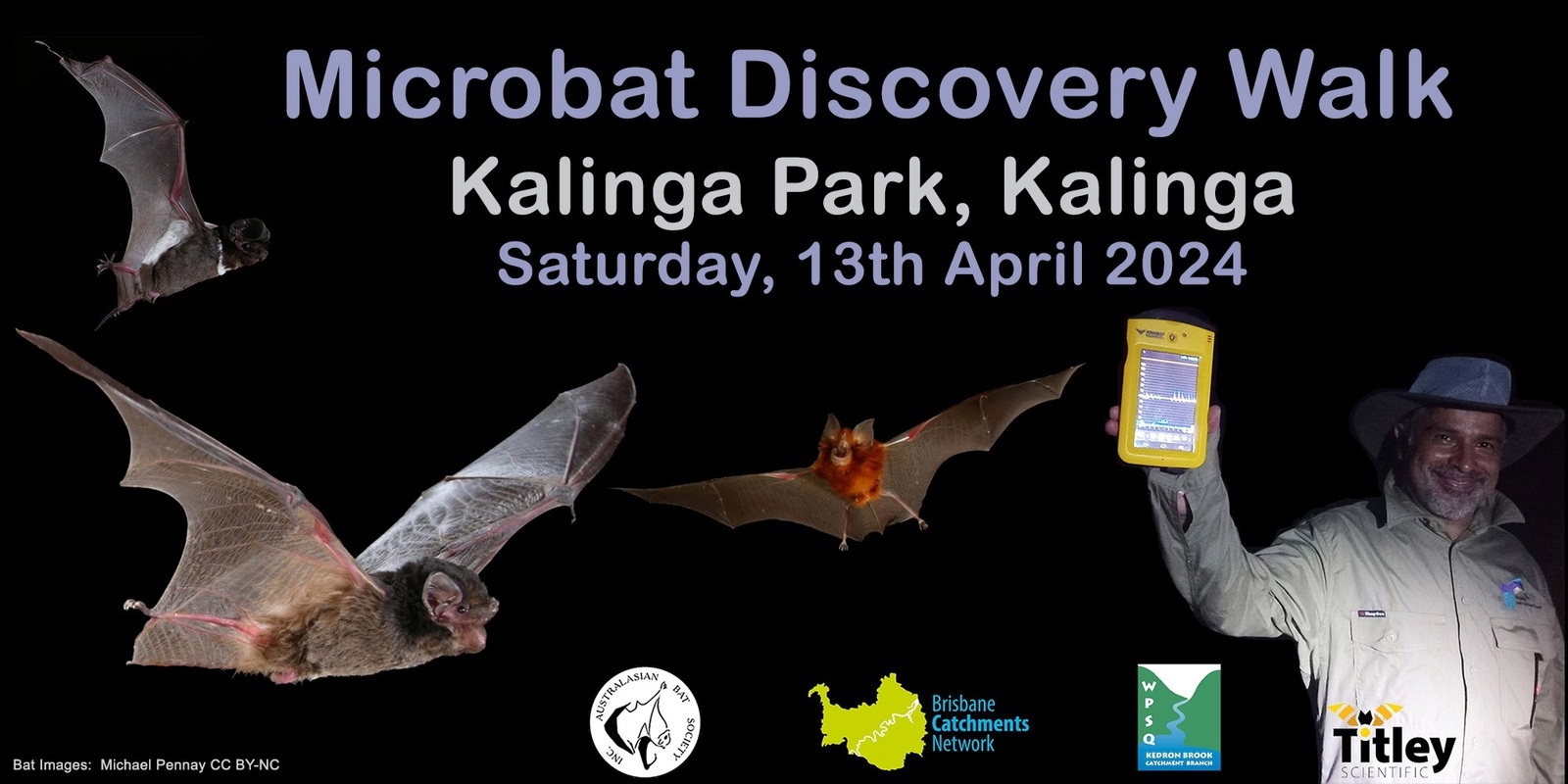 Banner image for Microbat Discovery Walk, Kalinga Park