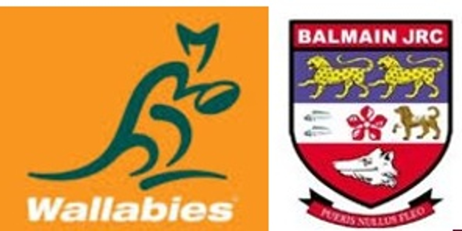 Banner image for Balmain Rugby Supporters and Players Wallabies Lunch - Bledisloe Cup