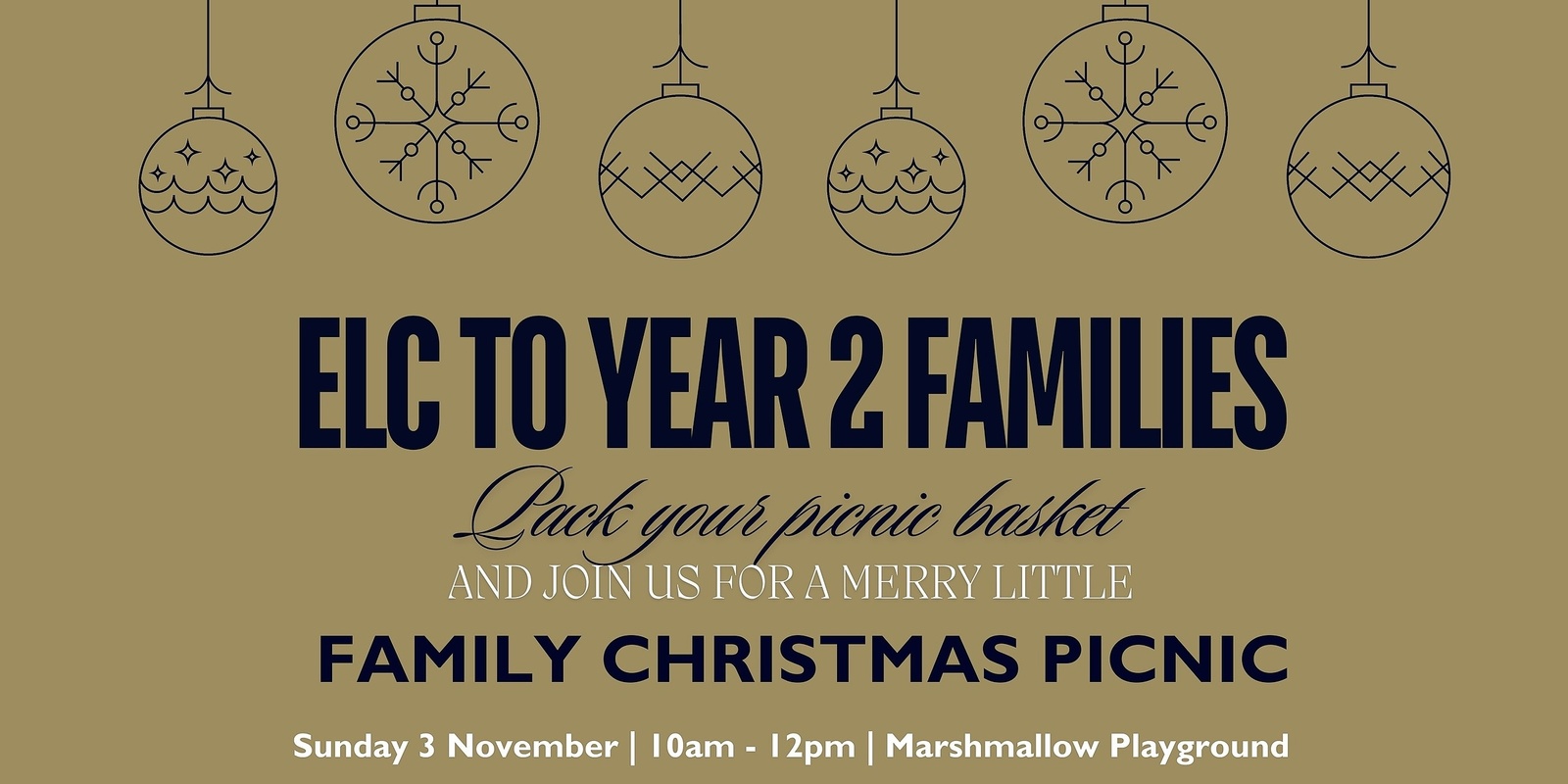 Banner image for ELC to Year 2 Pulteney Families Christmas Picnic 2024