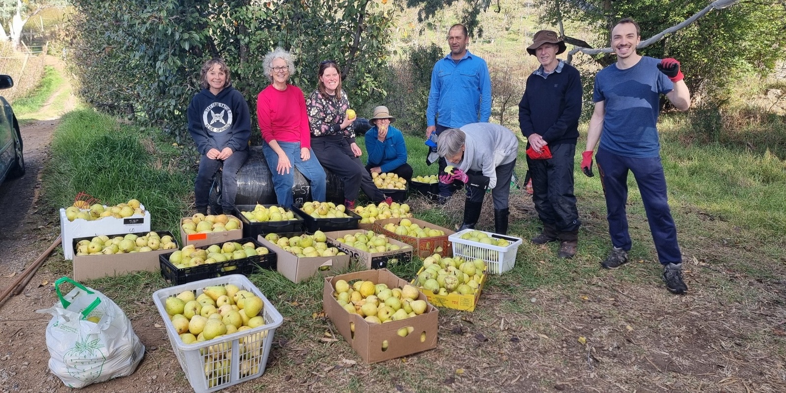 Banner image for Harvest Leader Training Session