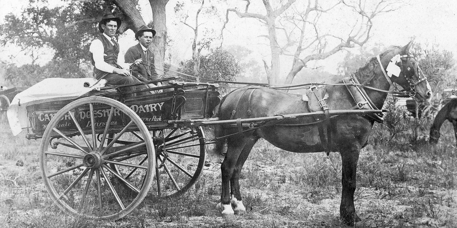 Banner image for Mount Lawley Society: family history research