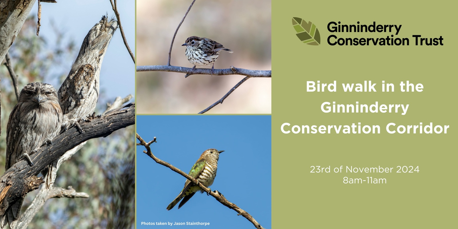 Banner image for Bird Walk in the Conservation Corridor with Chris Davey