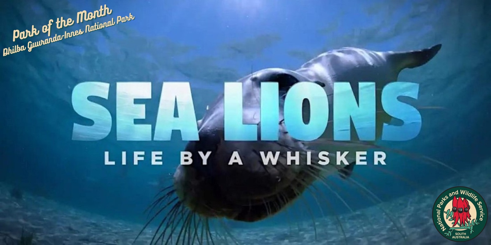 Movies in the Park - Sea Lions: Life By a Whisker | Humanitix