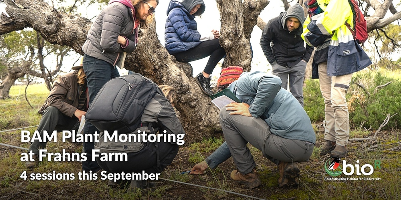 Banner image for BAM Plant Monitoring - Frahns Farm 2022