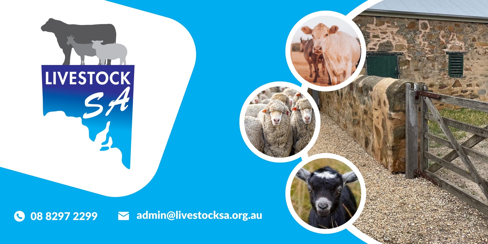 Livestock SA's banner