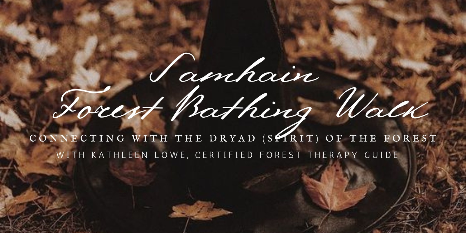 Banner image for Samhain Forest Bathing Spirit Walk