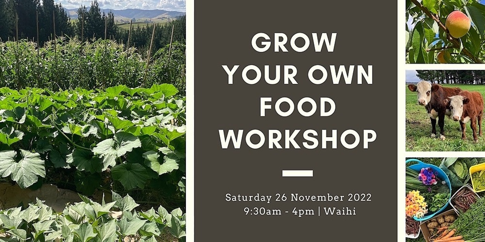 Grow Your Own Food Workshop