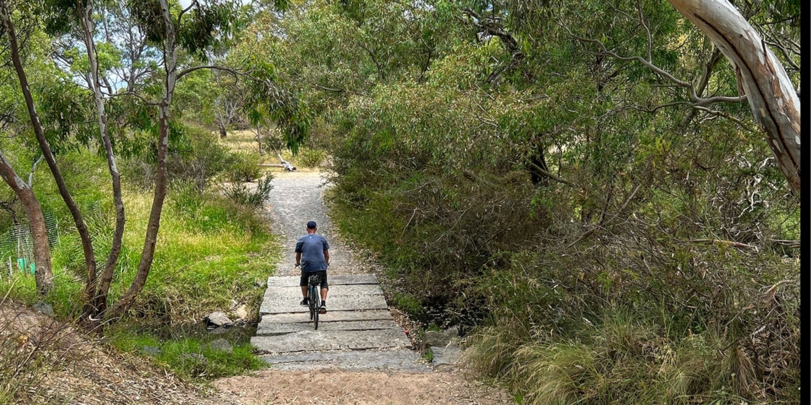 Banner image for Boeings and Bandicoots - Ride to Woodlands