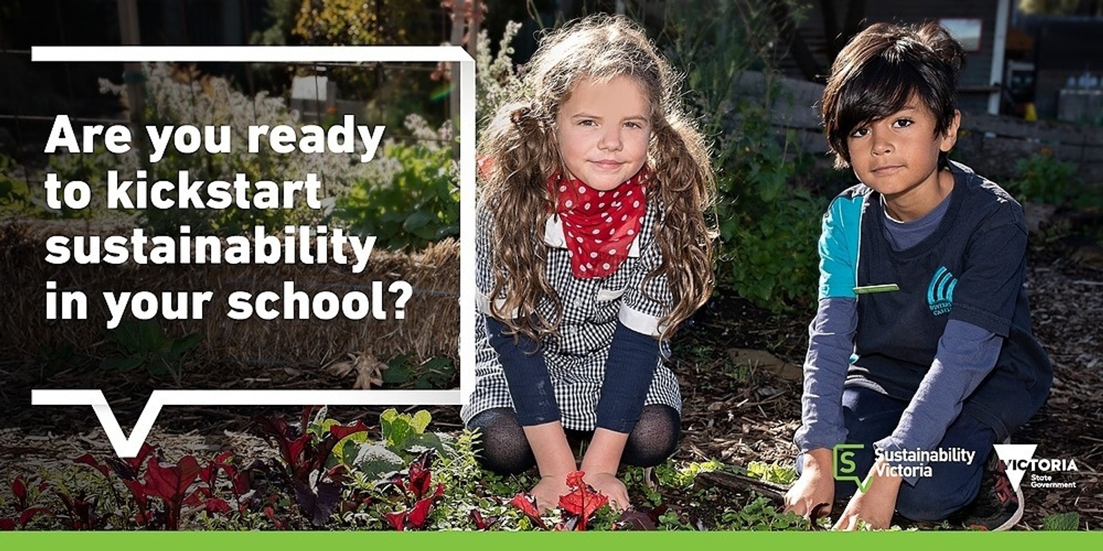 Kickstarting Sustainability in your School: Celebrating World Environment Day