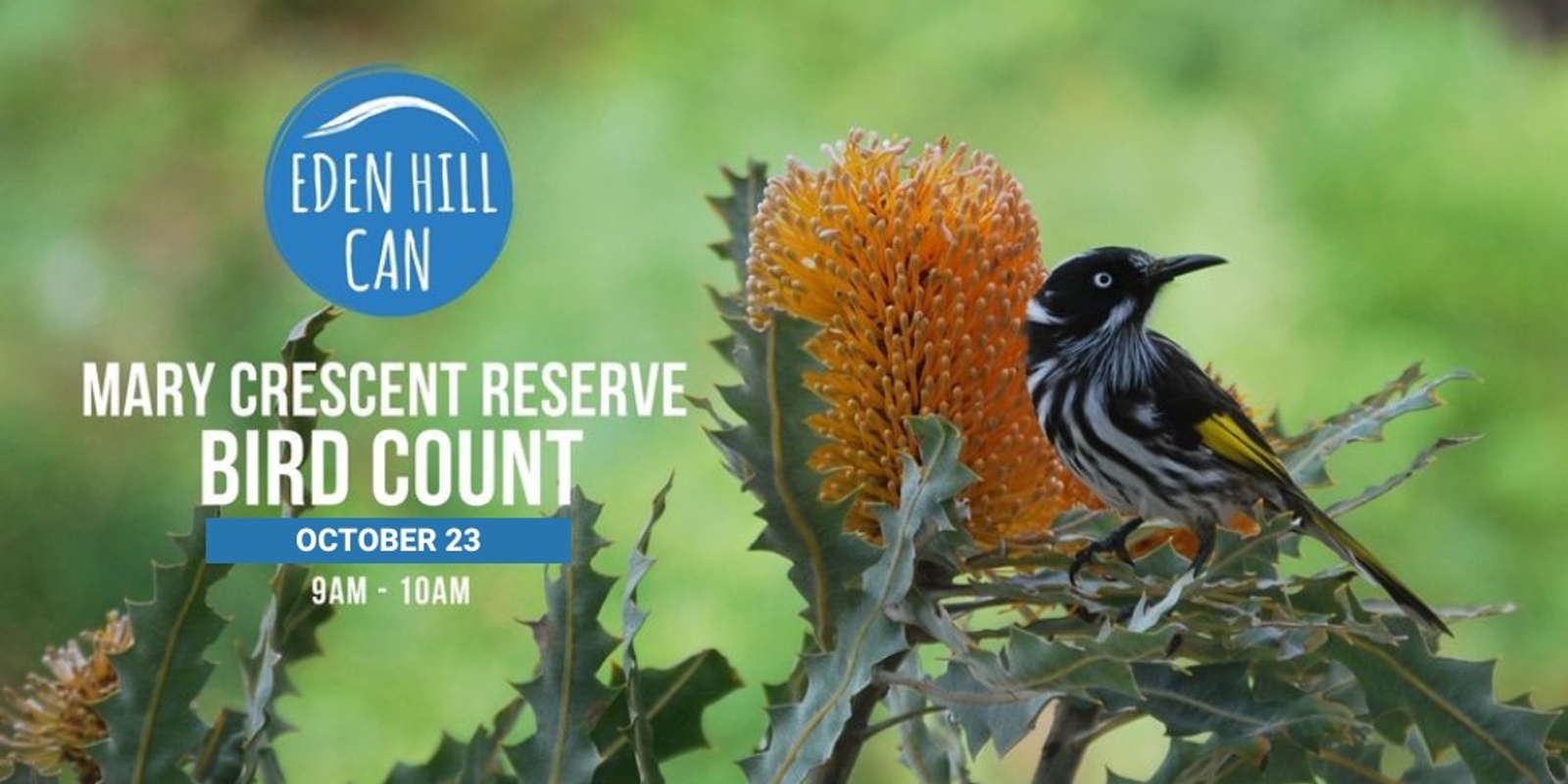 Banner image for Mary Crescent Reserve Bird Count