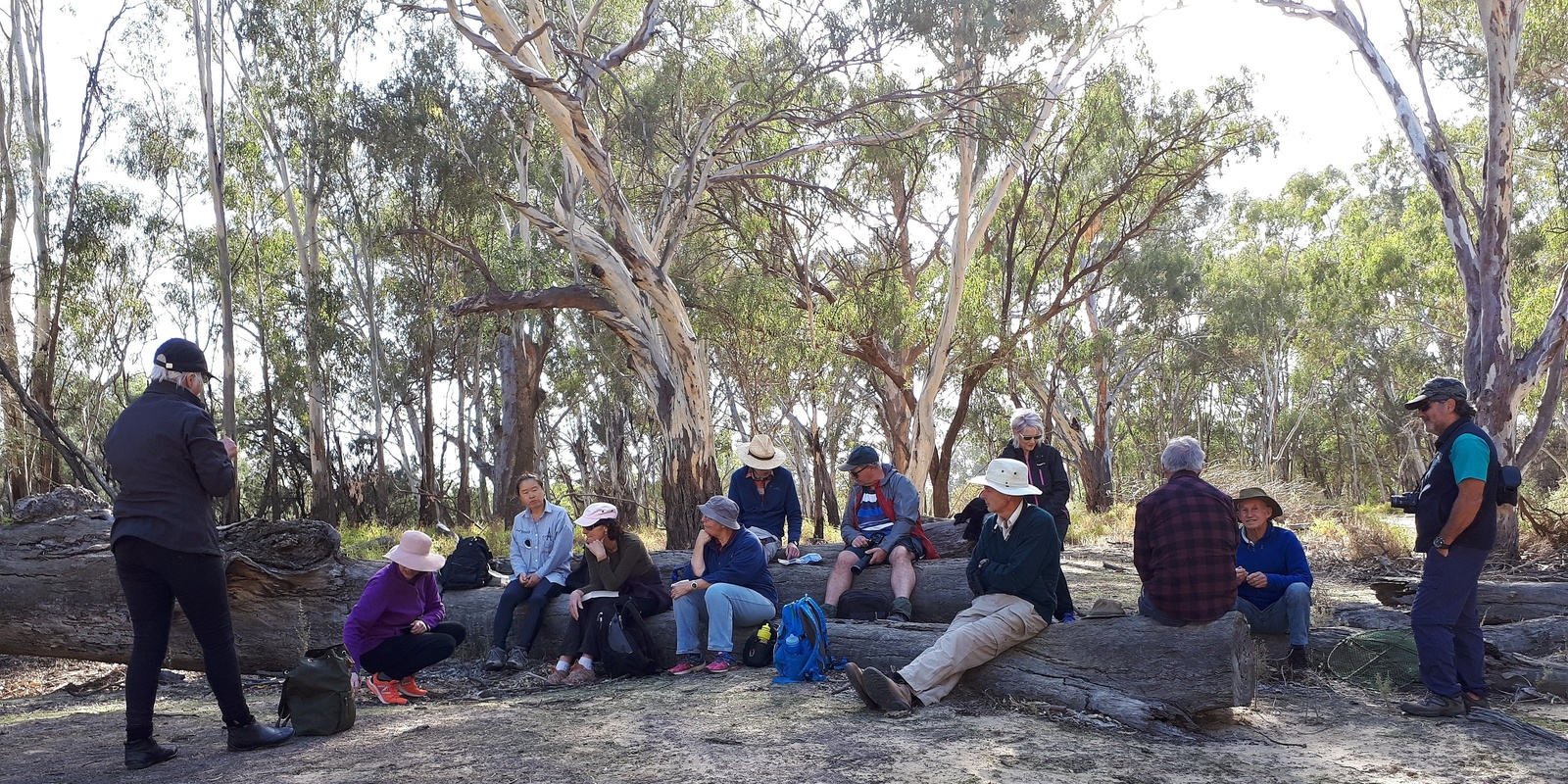 Banner image for Billabong Bird Hide Walk + Morning Tea - Grade 1 (Easy)