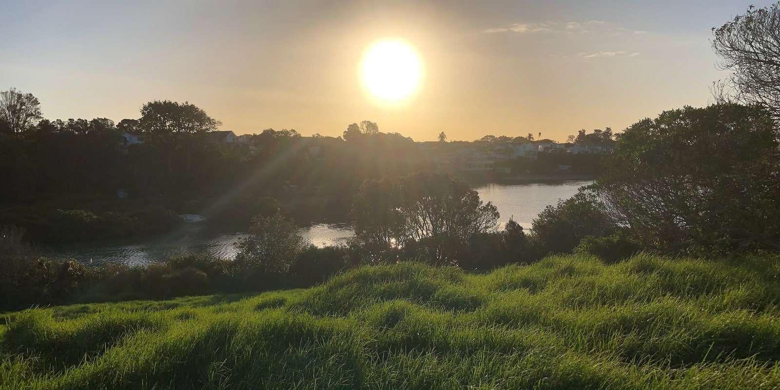 Banner image for Waitītiko Maunga to Moana walk: Day 2 Waiōrea CRC to Te Tokaroa Meola Reef