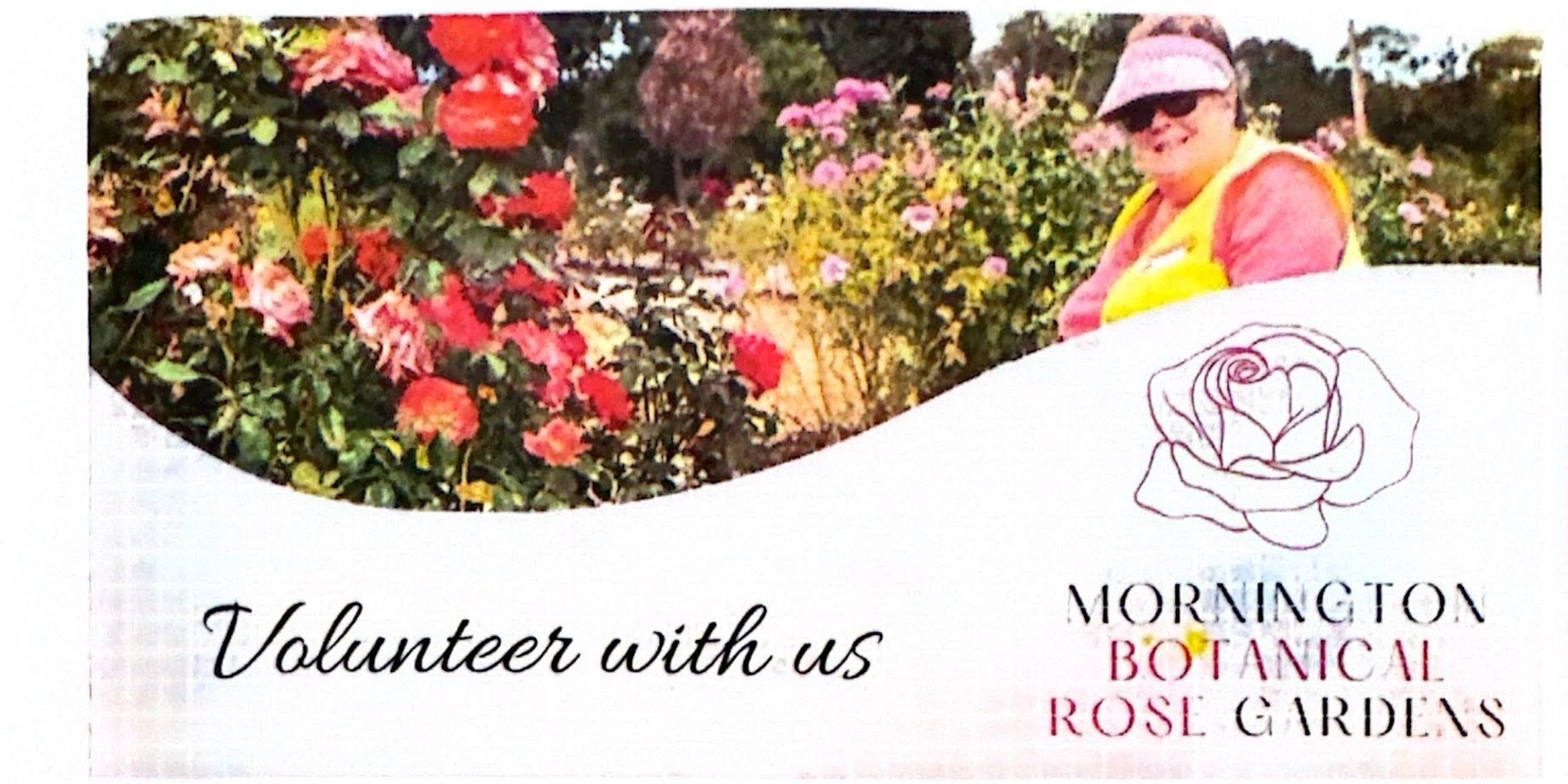 Banner image for Mornington Botanical Rose Gardens Working Bee