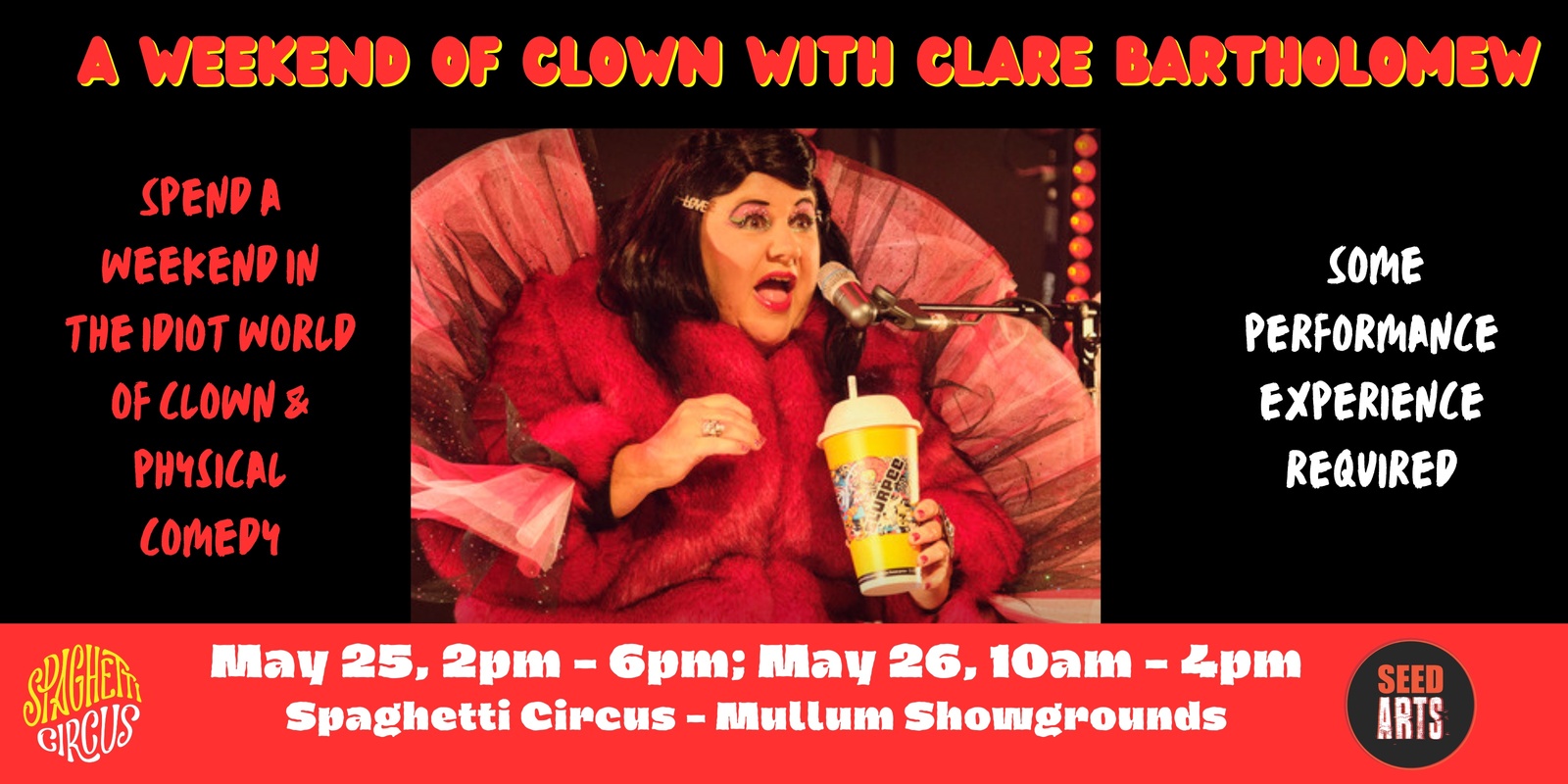 Banner image for 2 days of 'Clown with Clare' in Mullum: May 25, 2-6pm & 26, 10-4pm