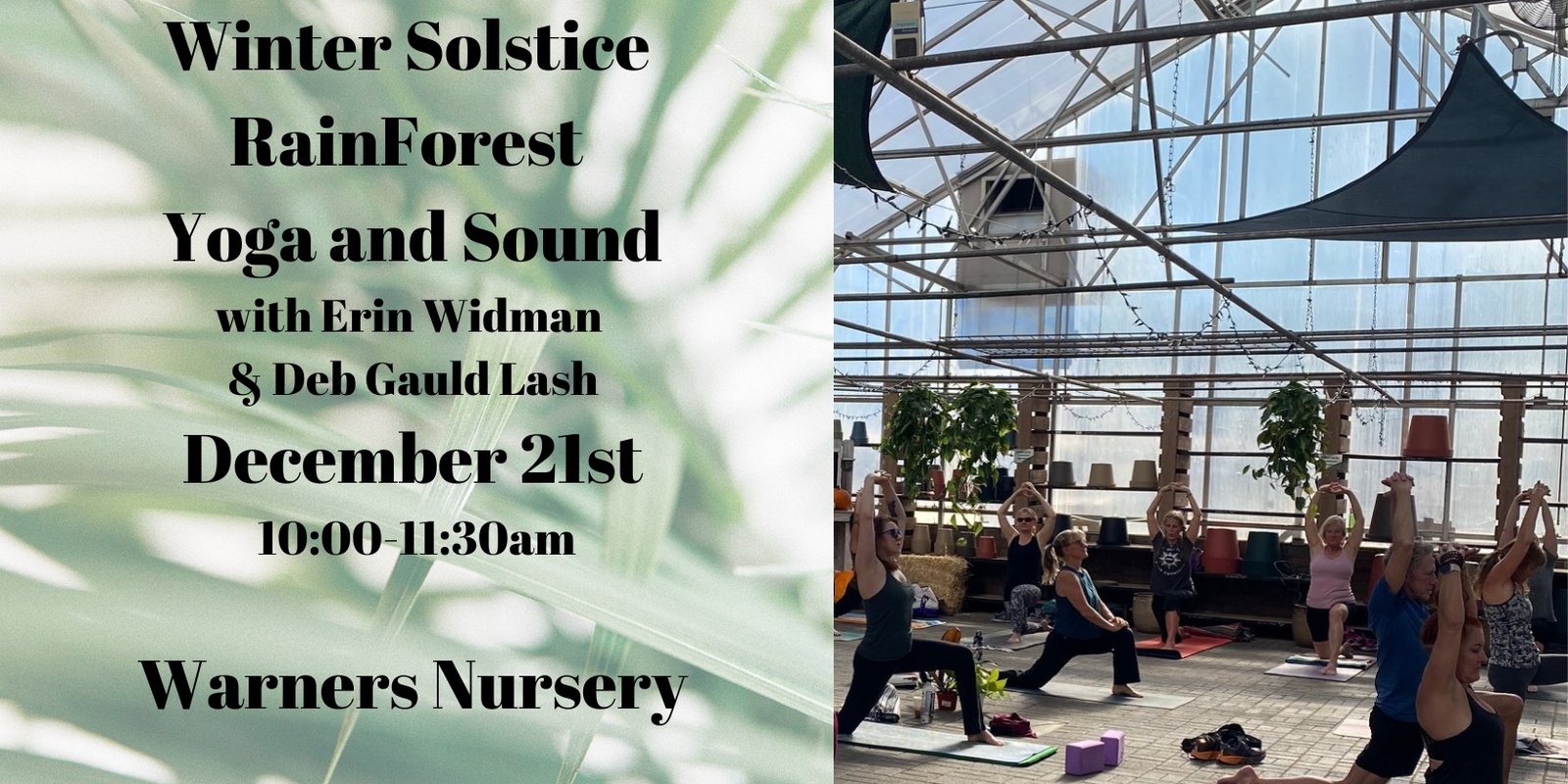 Banner image for Winter Solstice RainForest Yoga