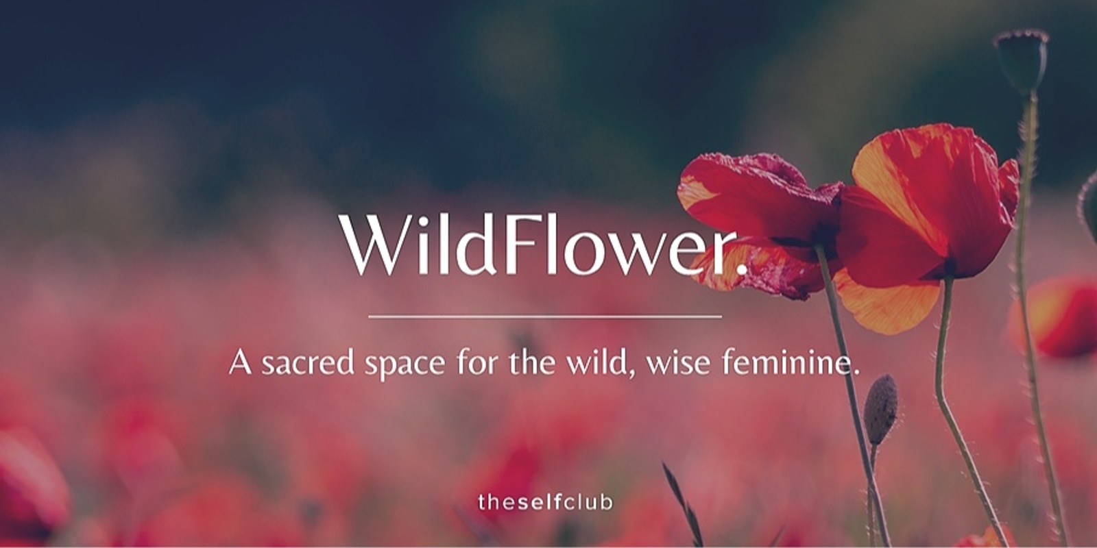 Banner image for WildFlower - Bi-monthly Women's Circle for Feminine Soul Maintenance