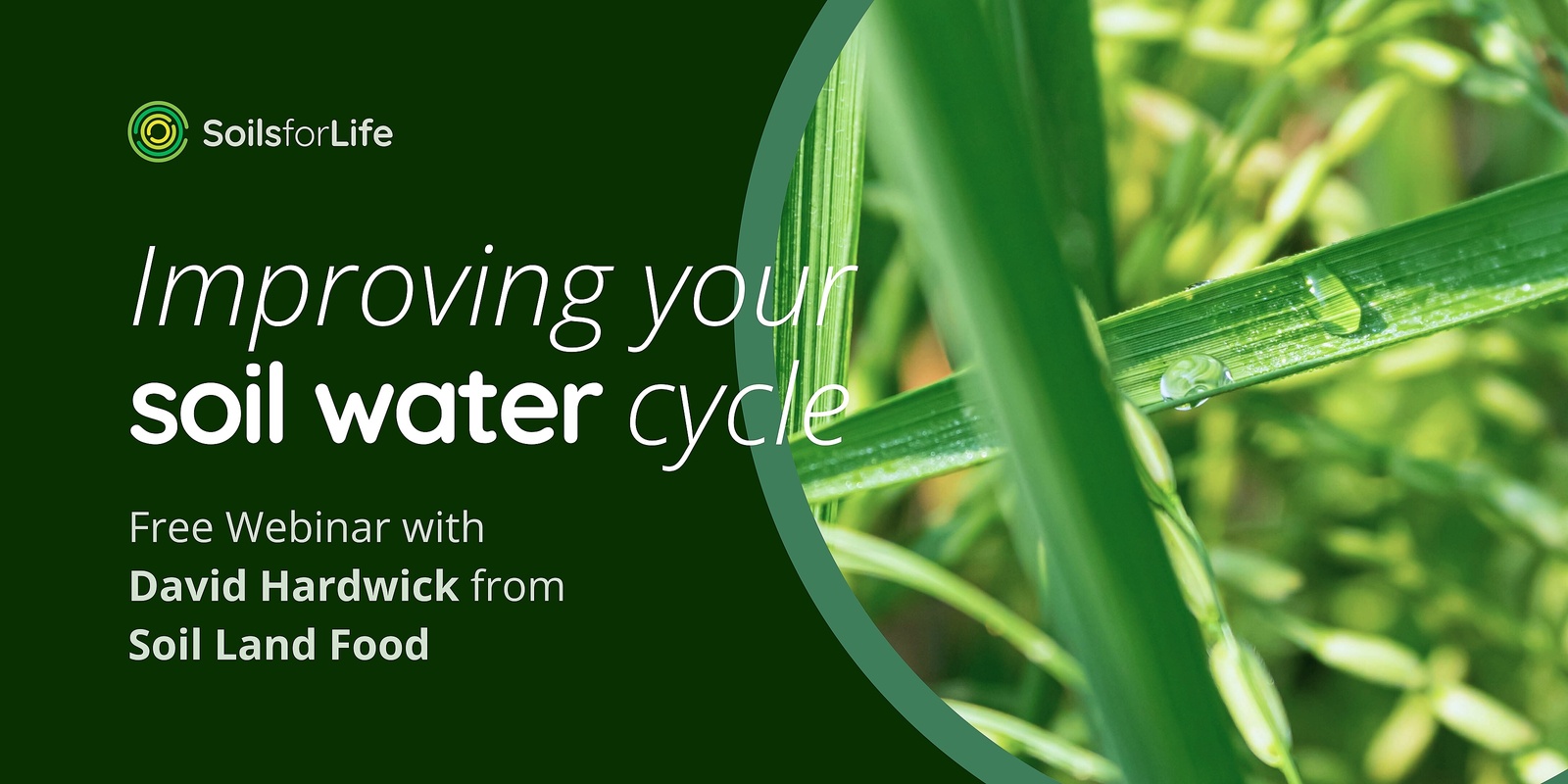 Banner image for Improving Your Soil Water Cycle