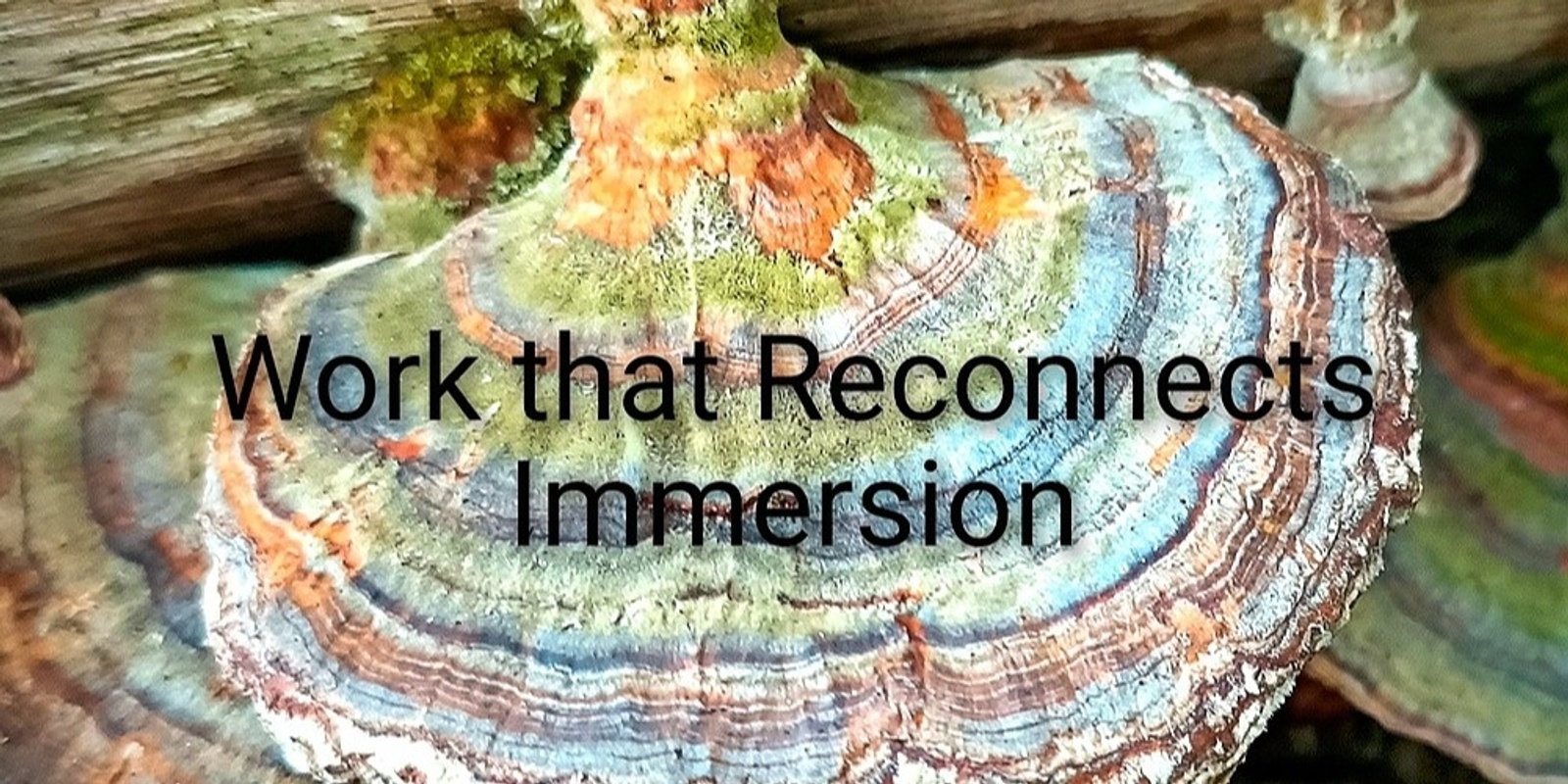 Banner image for Work That Reconnects Immersion