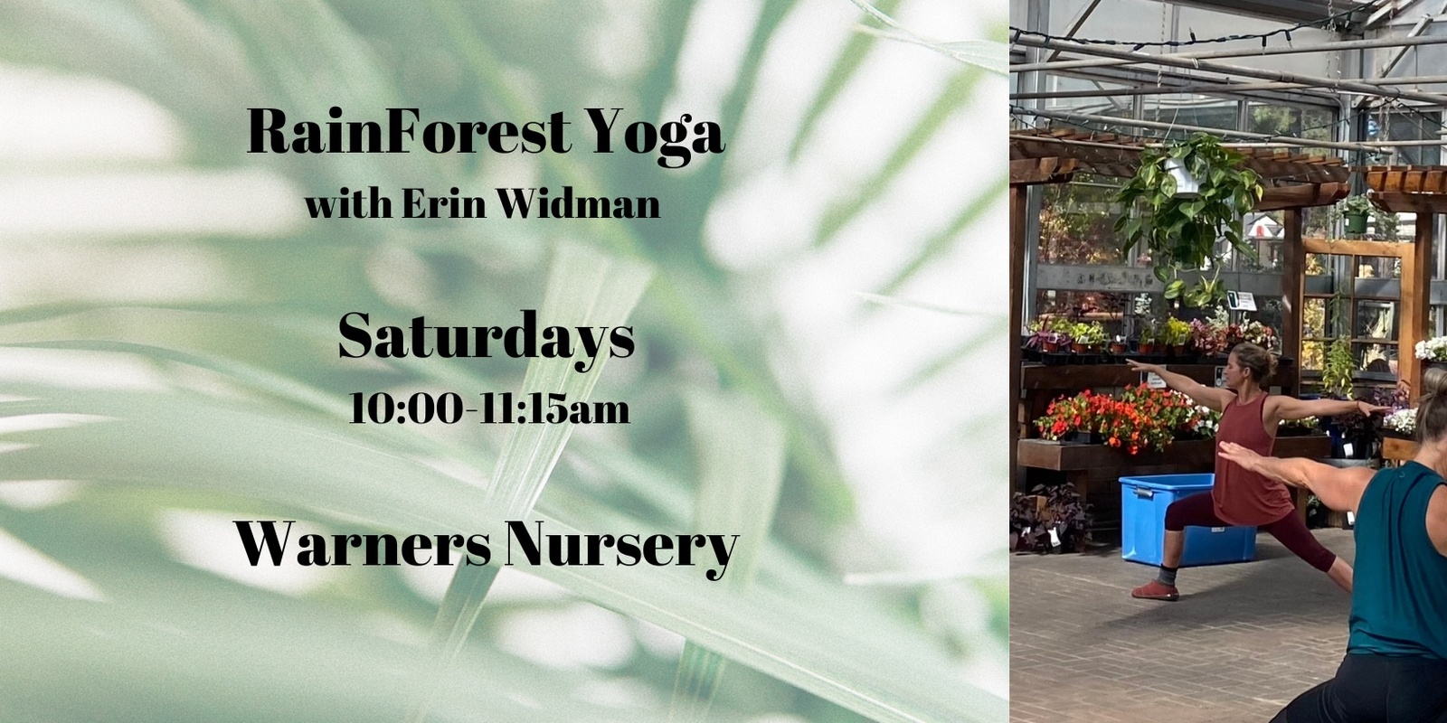 Banner image for Rain Forest Yoga