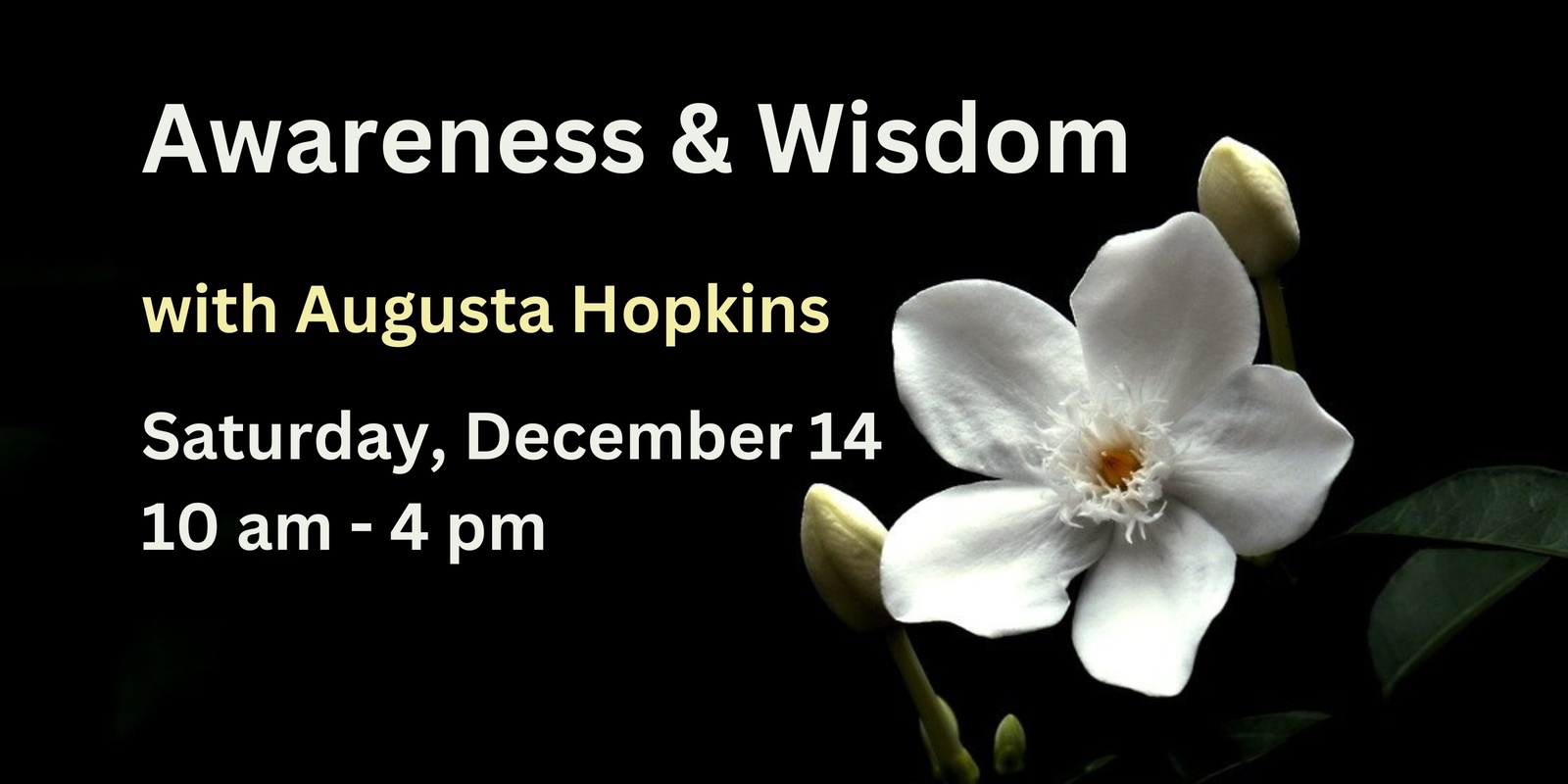 Banner image for Awareness & Wisdom Daylong with Augusta Hopkins