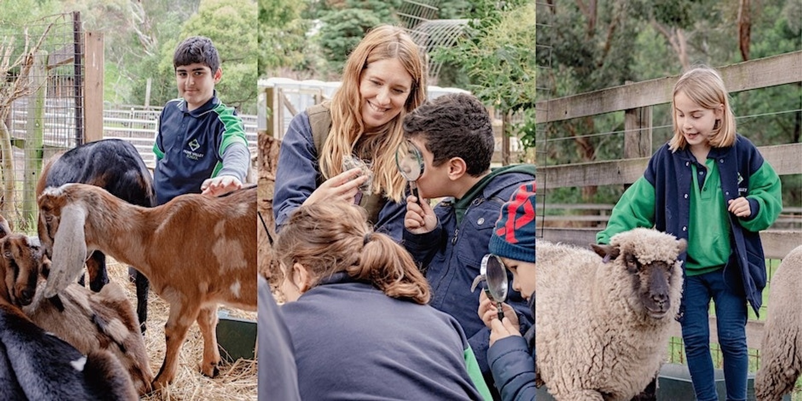 Banner image for Collingwood Children's Farm School Excursions: for 2 to 3 Classes