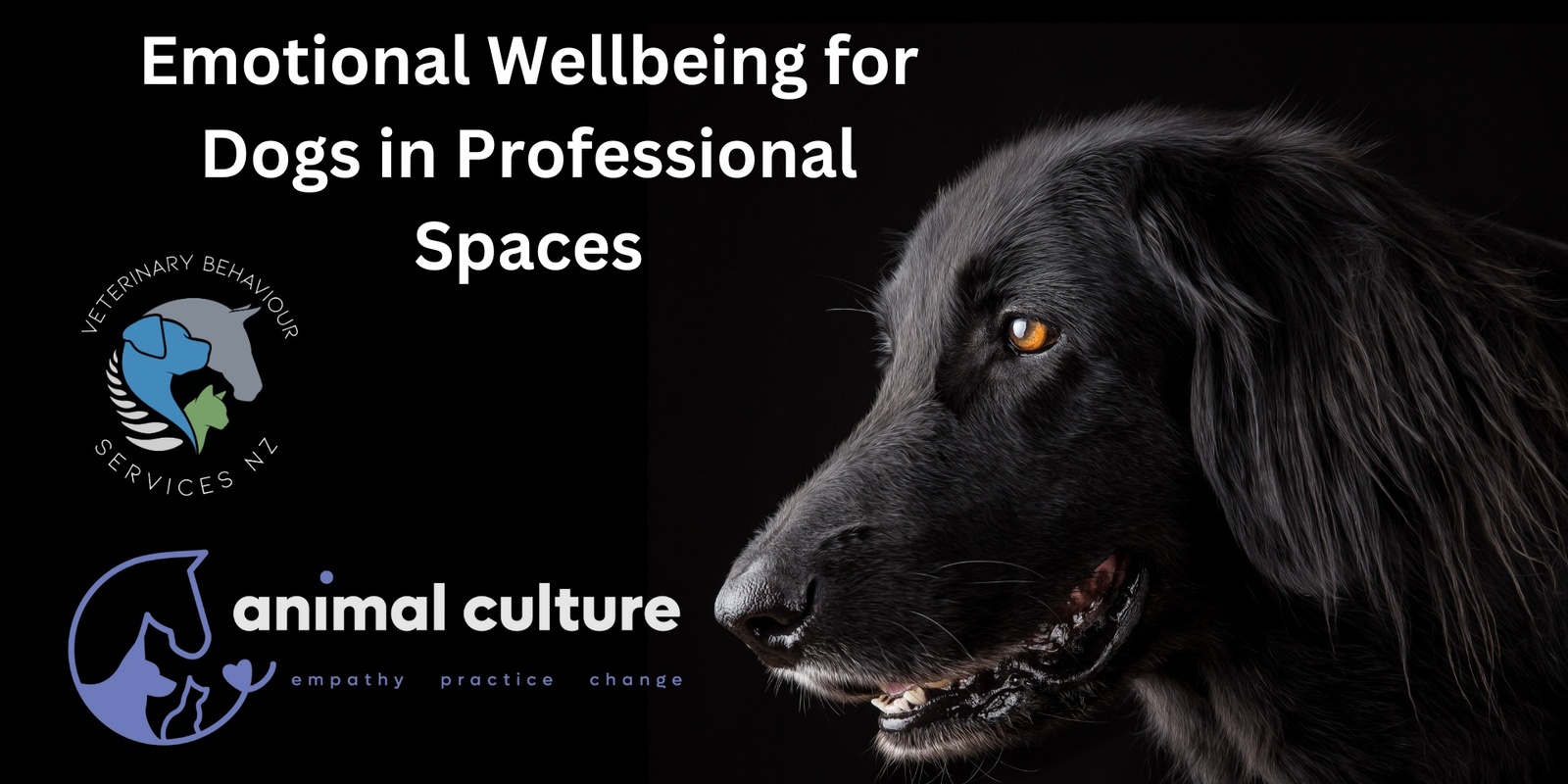 Banner image for Emotional Wellbeing in Canine Professional spaces