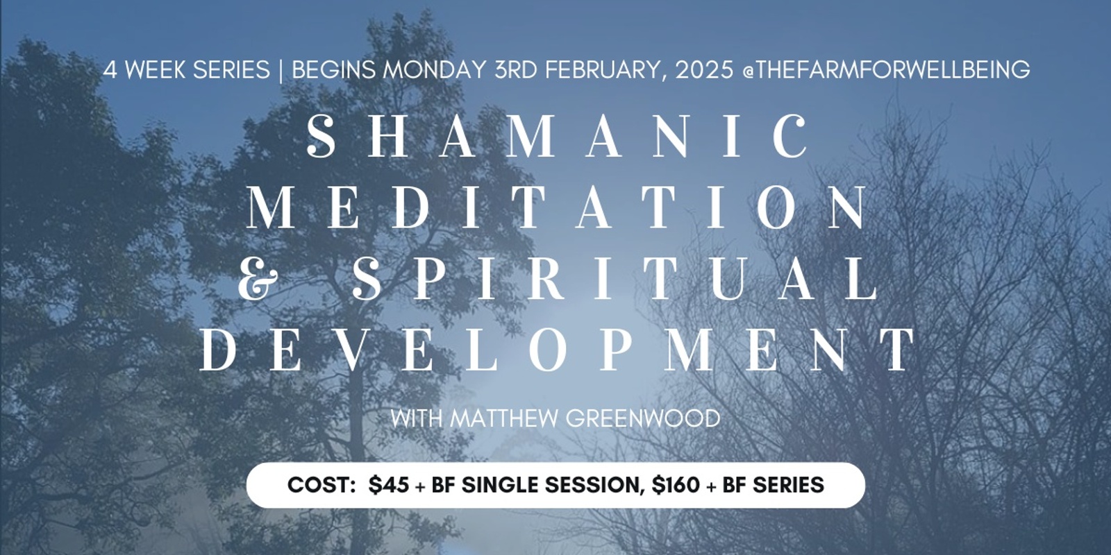 Banner image for Shamanic Meditation & Spiritual Development (4 week series)