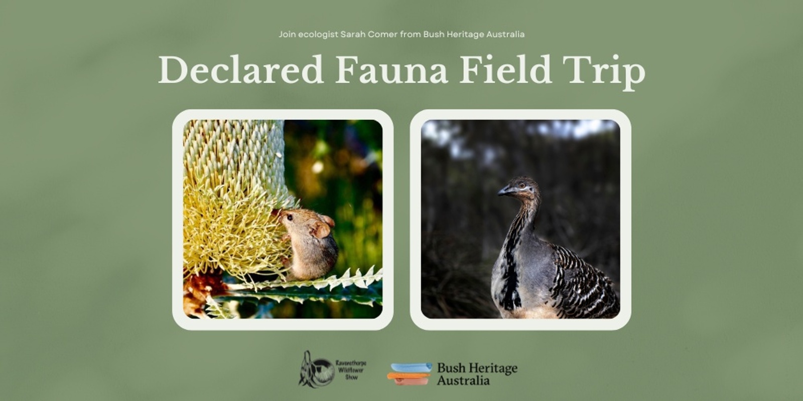 Banner image for Declared Fauna Field Trip with  Ecologist Sarah Comer