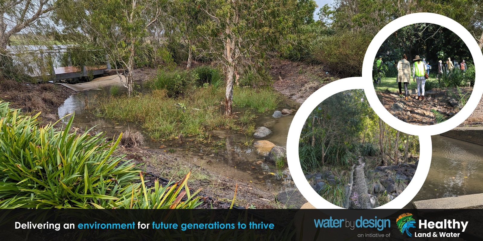 Banner image for Water Sensitive Urban Design (WSUD) whole of asset lifecycle training | Rockhampton